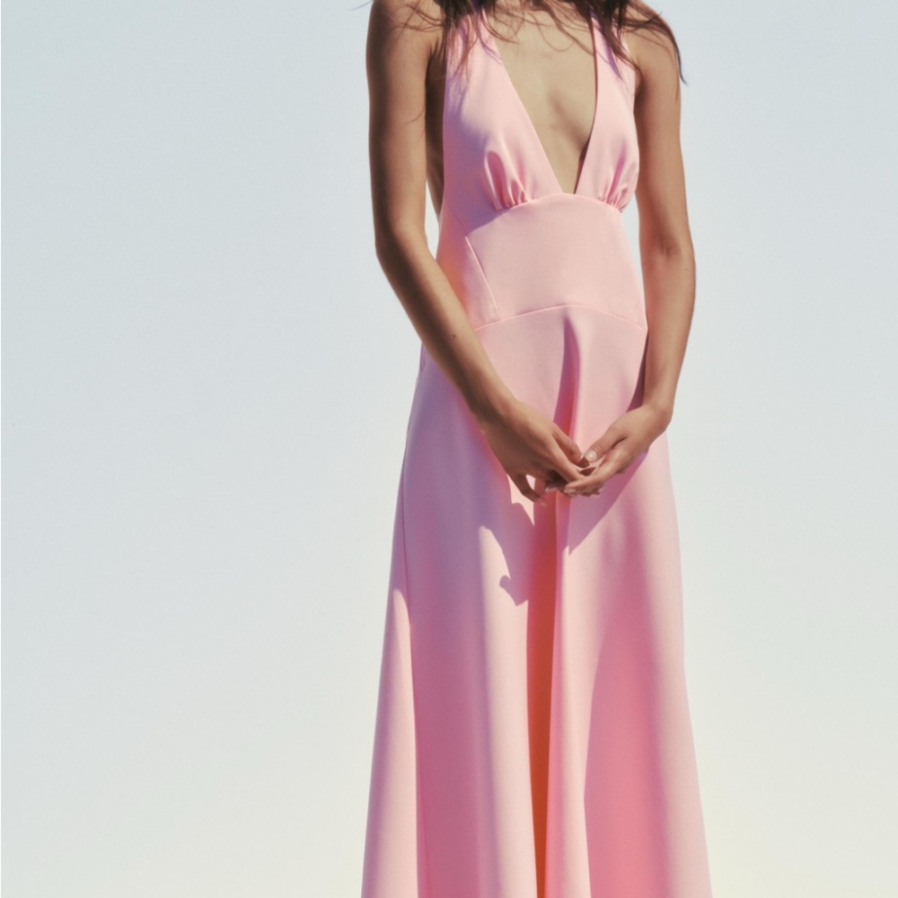 Zara Pink Backless Maxi Dress